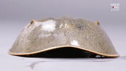 These Crabs Have Been Crawling Before the Dinosaurs Instructional Video