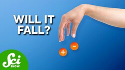 Does Antimatter Fall? Instructional Video