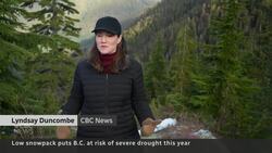 Low B.C. snowpack could mean severe drought, new data suggest News Clip