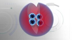 Study finds stomach viruses cluster together to become more deadly Instructional Video