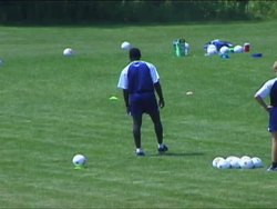 Plants: What Is a Plant? Instructional Video