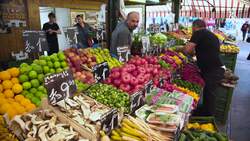 Susanna Gartmayer and the Unique Sounds of the Vegetable Orchestra Instructional Video
