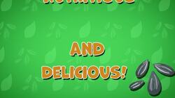 I WONDER - Can We Eat Seeds? Instructional Video