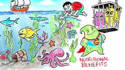 Is Seaweed The Crop of the Future? Instructional Video