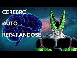 La SOLUCIÓN DEFINITVA para personas con daños CEREBRALES (quizá) Instructional Video