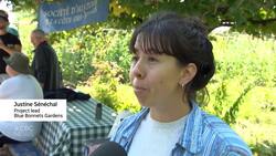 Here's what the once forgotten Montreal melon tastes like Instructional Video