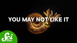 This Is The Best Predator Defense Of All Time Instructional Video