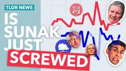 Why Are The Tories (still) Polling So Poorly? Instructional Video