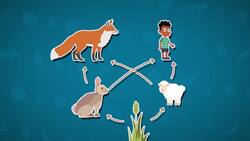 I WONDER - Are Humans Part Of The Food Web? Instructional Video
