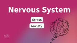 It's not ‘just’ a bit of discomfort: How pelvic pain affects people's lives News Clip