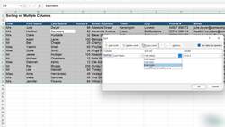 Microsoft Excel 2021365 - Beginner to Advanced - Performing Sorts on Multiple Columns Instructional Video