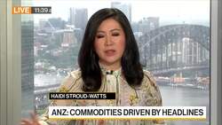 ANZ Expects to See Further Downside for Metals News Clip