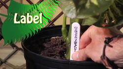 Toxic Plants Instructional Video