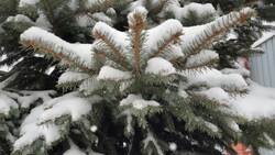 How Do Radio Stations Transmit The Name Of The Song That’s Currently Playing? Instructional Video