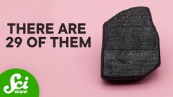 What You Don't Know About The Rosetta Stone Instructional Video