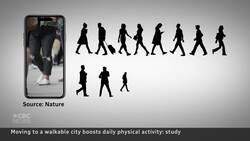 Walkable cities linked to health benefits for some residents, study finds News Clip