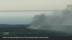 Forest bans in N.B. and N.S. spark backlash, confusion News Clip