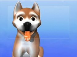 Colours in Japanese Instructional Video