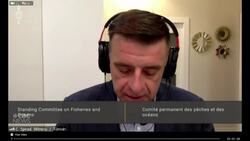 Colin Sproul speaks before the Fisheries and Oceans Committee News Clip