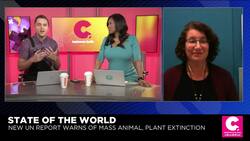 Advocate Sees Hope to Curb Climate Disaster if Voters Push Elected Officials News Clip