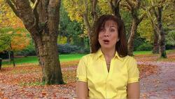 First Things First Instructional Video