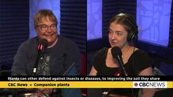 Plants have best friends too! News Clip