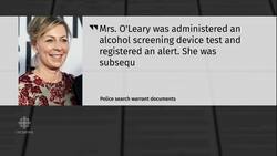 Linda O'Leary had alcohol on breath following fatal boat crash, documents say News Clip