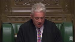 MPs Reject All Options in Indicative Votes - Brexit Explained Instructional Video