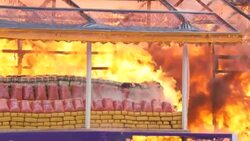 CLEAN : Myanmar authorities torch half a billion dollars worth of drugs News Clip