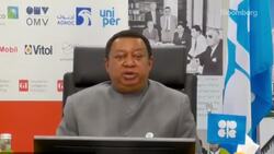 OPEC'S Barkindo: Working to Relieve ‘Stubbornly High’ Oil Stocks News Clip