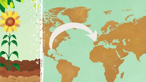 Columbian Exchange