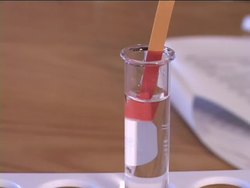 Solutions at Work: Acids and Bases Instructional Video