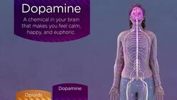 Opiods Instructional Video