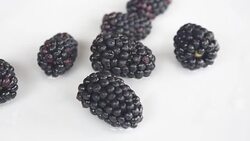 closeup of blackberries on a white rotating plate Stock Footage