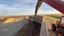 Pierre Poilievre says Ottawa should compensate farmers hit by canola tariffs News Clip