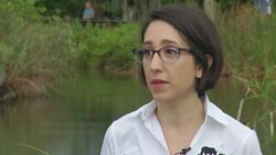 World Heritage site remains on 'in danger' list News Clip