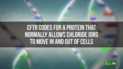 New Cystic Fibrosis Treatment a GameChanger SciShow News Instructional Video