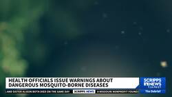Health officials warn of 2 mosquito-borne disease outbreaks. Here's how to avoid them News Clip