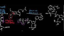 Melatonin Catabolism 1 Instructional Video