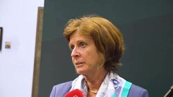 Security forum chair responds to Higgins' 'throwaway' remark on damehood News Clip