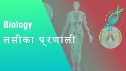 लसीका प्रणाली | शरीर क्रिया विज्ञान | जीवविज्ञान | FuseSchool Hindi Instructional Video