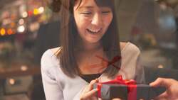 Japan Customs Instructional Video