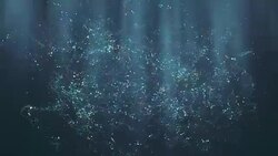 black friday event Stock Footage