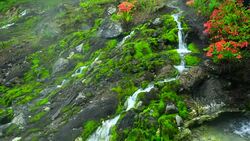 Chatsubomigoke Park at Nakanojo, Gunma, Japan Stock Footage