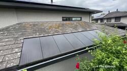 What the Netherlands can teach Canada about solar power News Clip