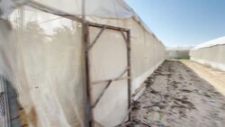 CLEAN : Exports resume from Gaza as Israel eases blockade News Clip