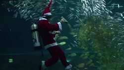CLEAN : Santa Claus swims with fish in Seoul News Clip