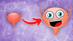 I am YOUR Bladder! | The Bladder Song | KLT Anatomy Instructional Video