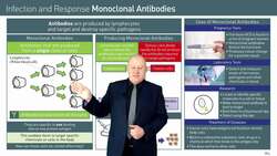Monoclonal Antibodies: Production and Applications in Medicine Instructional Video