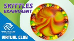 DIY STEM Project For Kids: Skittles Experiment Instructional Video